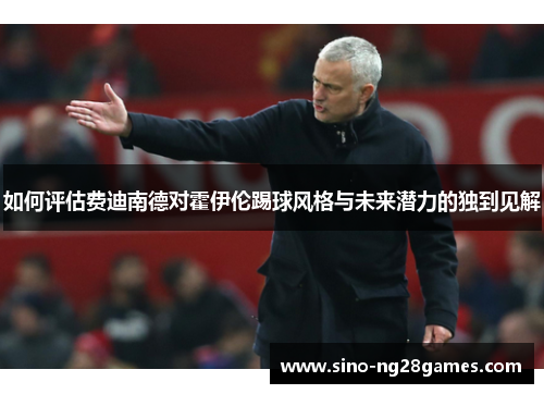 如何评估费迪南德对霍伊伦踢球风格与未来潜力的独到见解